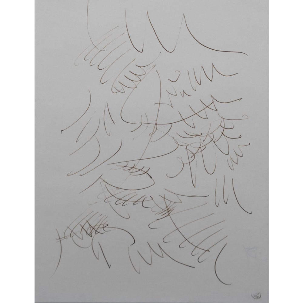 Dora Maar, Plant Composition, Original Ink Drawing | Chairish
