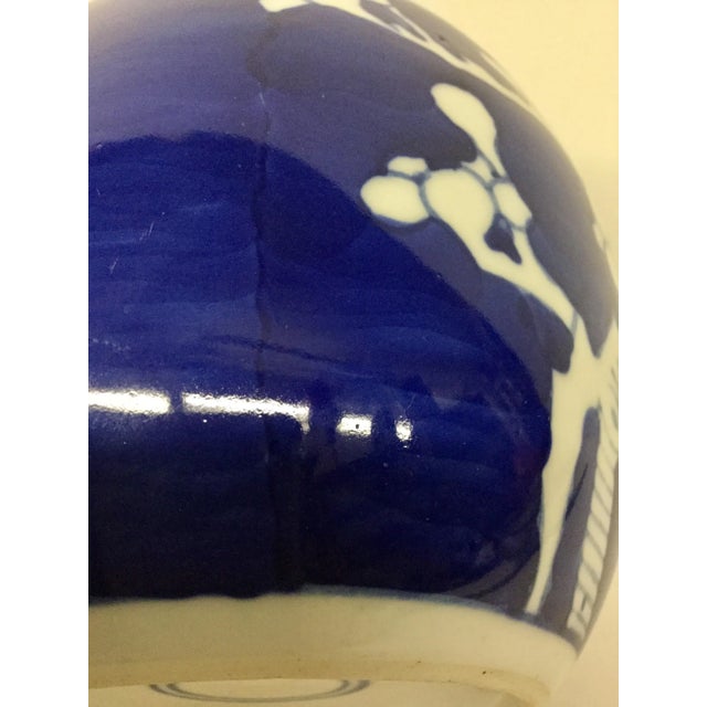 Vintage Cobalt Cherry Blossom Porcelain Ginger Jar For Sale In Portland, ME - Image 6 of 9