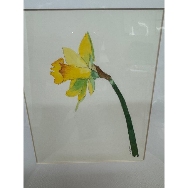 Isabel Wyatt Daylight Daffodil Original Painting, Signed For Sale - Image 9 of 12