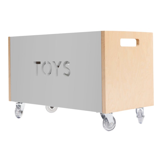 Nico & Yeye Toy Box Chest on Casters Birch Gray Chairish
