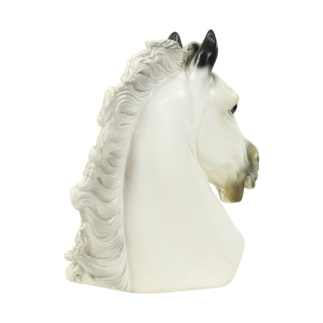 Large Classical Greek Style Parthenon Horse Bust in Plaster For Sale - Image 4 of 17