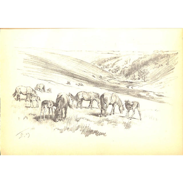 Paper "Moorland Mousie" 1929 Gorse, Golden For Sale - Image 7 of 8