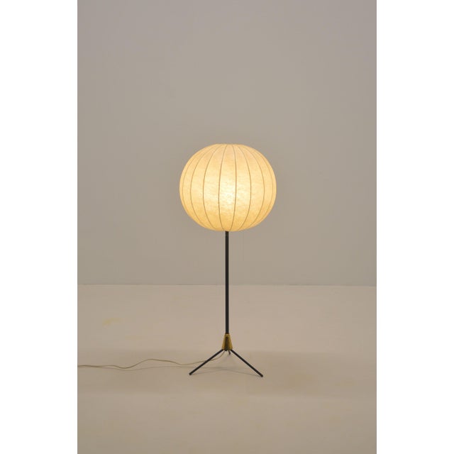Vintage Cocoon Tripod Floor Lamp with Brass Accent, 1960s For Sale - Image 11 of 11