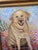 Paint Dog Portrait Painting For Sale - Image 7 of 7