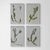 A captivating series of four original abstract botanical paintings by Diane Grant, these works reinterpret the language of...