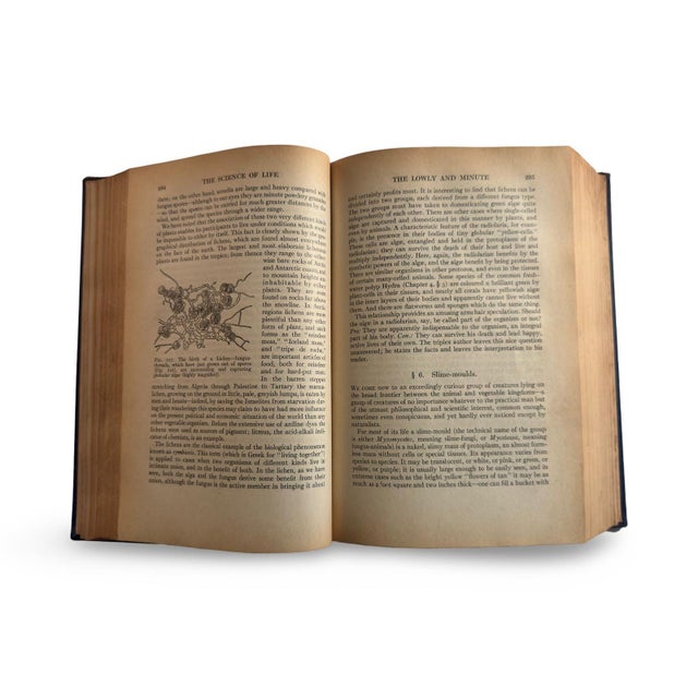 1930s 1930s the Science of Life by Hg Wells, Huxley & Wells, Deep Blue Clothbound Classic With Illustrations For Sale - Image 5 of 9