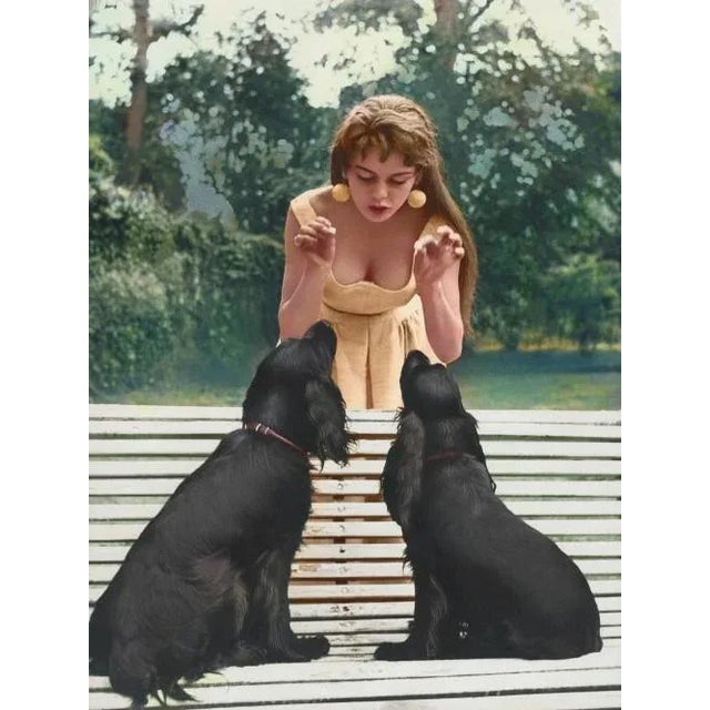 Brigitte Bardot and Her Dogs Archival Pigment Print 16" X 20" Inches For Sale