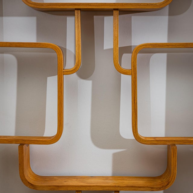 Mid-Century Room Divider by Ludvík Volák for Dřevopodnik Holešov, Czech Republic, 1950s For Sale - Image 4 of 7