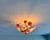 1970s Italian Murano Style Hand-Blown Original Pink and White Daisy Glass Flush Mount Chandelier (42x30 Cm)⁠ For Sale - Image 14 of 17