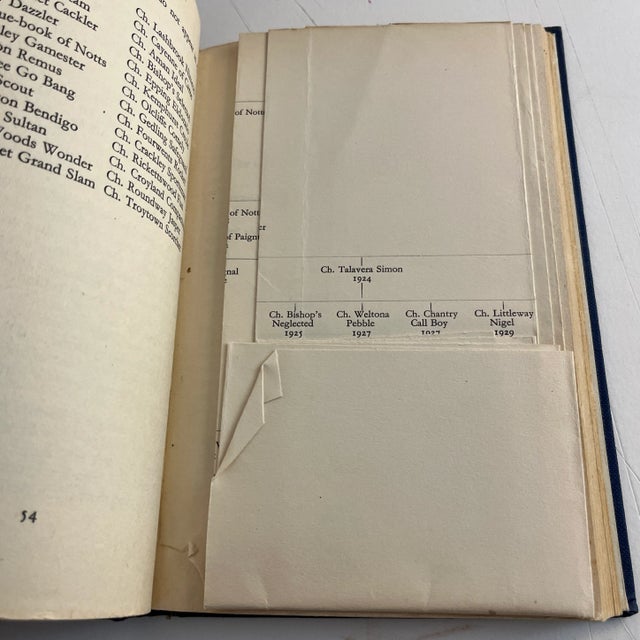 Mid-Century Modern 1955 Fox Terriers Book For Sale - Image 3 of 10