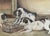 Charming Victorian era lithograph of curious puppies. The lithograph, shows three dogs/puppies are very curious by an ant...