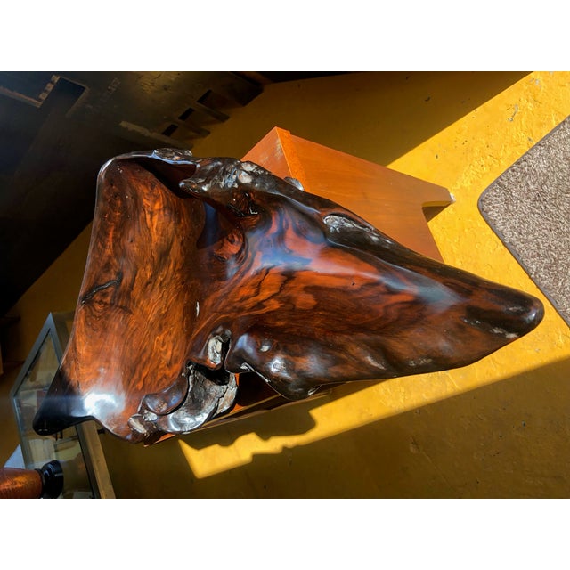 Large Irregular Shaped Burl Bowl For Sale - Image 12 of 12