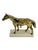 Gold Vintage Brass Equestrian Horse Bookends on White Marble Bases – Pair of Western Style Horse Sculptures For Sale - Image 8 of 14