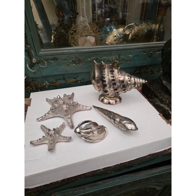 Metal Collection of Silverplated Sea Shells For Sale - Image 7 of 8