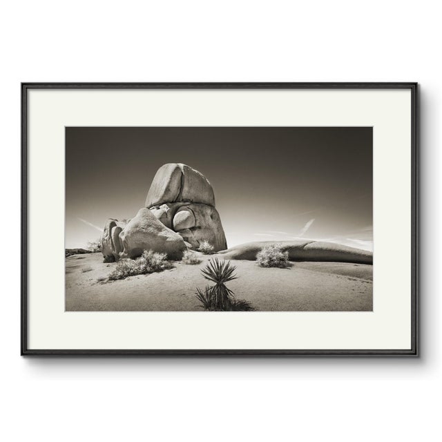 This is a made to order, signed, limited edition, sepia toned photographic print from an edition of 10. It is printed on a...