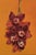 Cymbidium Orchids by Narelle Zeller | Oil on Aluminum Composite Panel, Red Orchids on Orange Background For Sale In Denver - Image 6 of 8