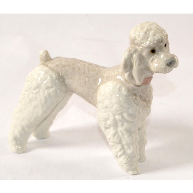 Ceramic 1950s Lladro Fine Handmade Porcelain Poodle Dog Figurine Animal Sculpture Spain For Sale - Image 7 of 18