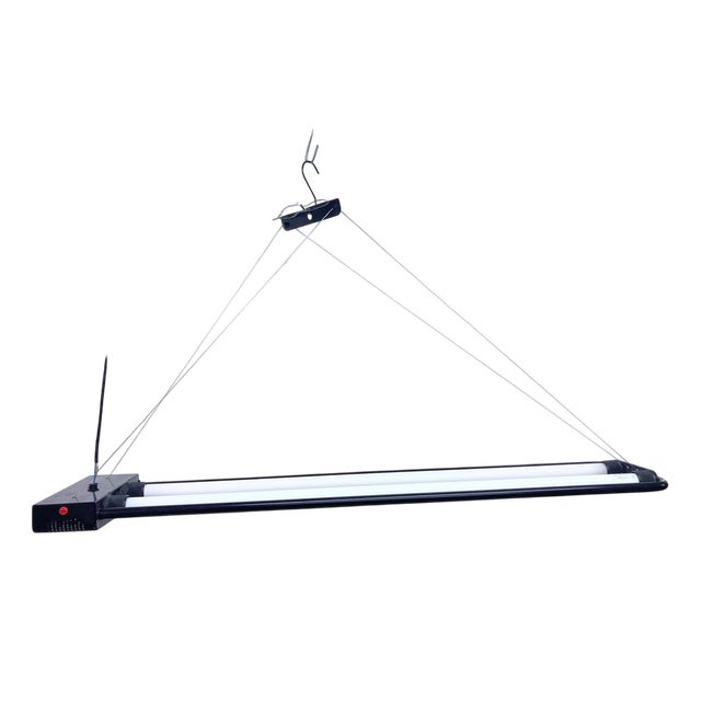 Zerbetto Due Ceiling Lamp by Gian N. Gigante, 1980 For Sale