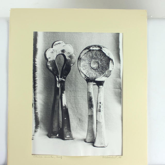 This elegant set of two black-and-white photographs captures the unique ceramic creations of renowned artist Ditta...