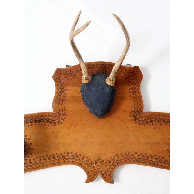 1950s Deer Antler and Hoof Mount For Sale - Image 4 of 11