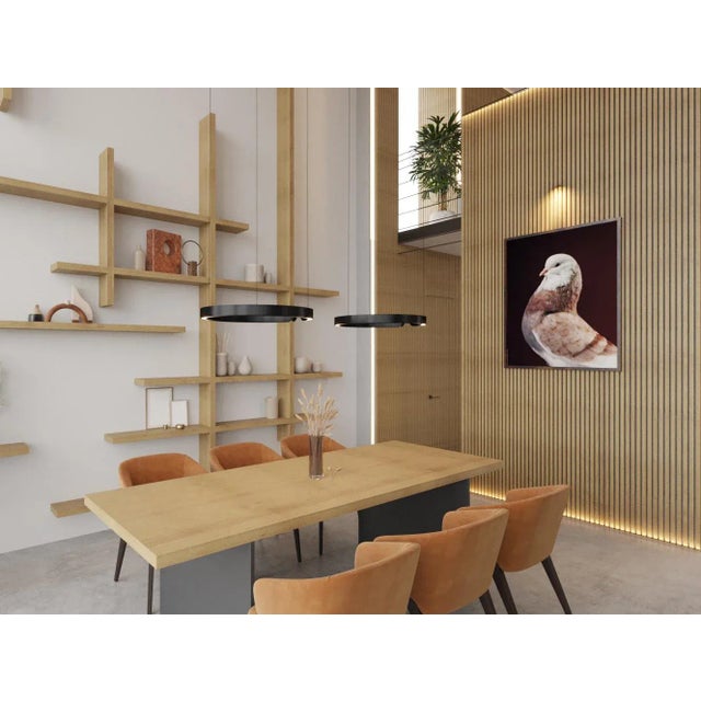 Contemporary Limited Edition Baldhead Roller Pigeon Print by Brendan Burden (40x50") For Sale - Image 4 of 4