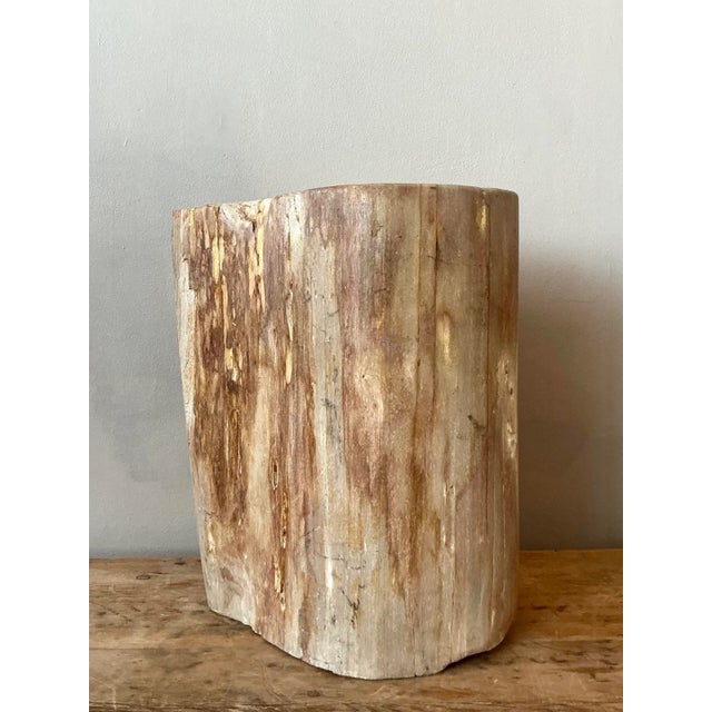 Rustic Vintage Boho Petrified Wood Stool For Sale - Image 3 of 8