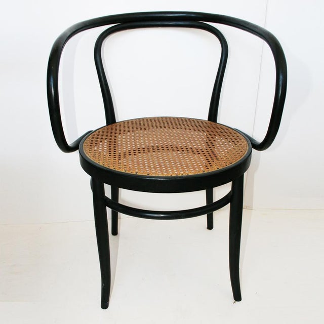 Set of Vintage Straw Beech Chairs by Michael Thonet, 1950 For Sale - Image 15 of 18