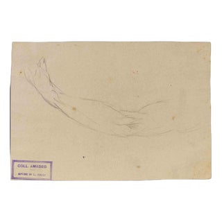 Luigi Galli, Anatomical Studies, Late 19th Century, Pencil on Paper For Sale