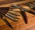 Bakelite Horn Carving Set and 12 Steak Knives- Set of Fourteen For Sale - Image 15 of 15