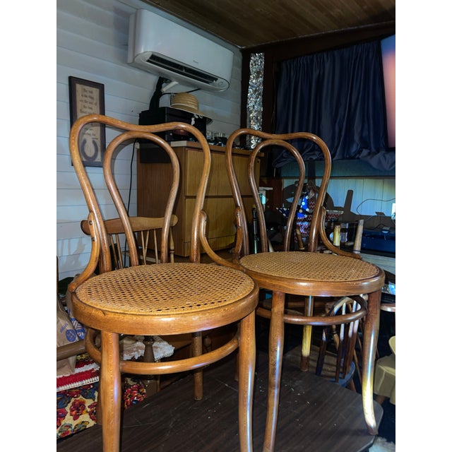 Late 19th Century Antique Thonet #16 Matched Pair of Parlor Chairs For Sale - Image 5 of 10