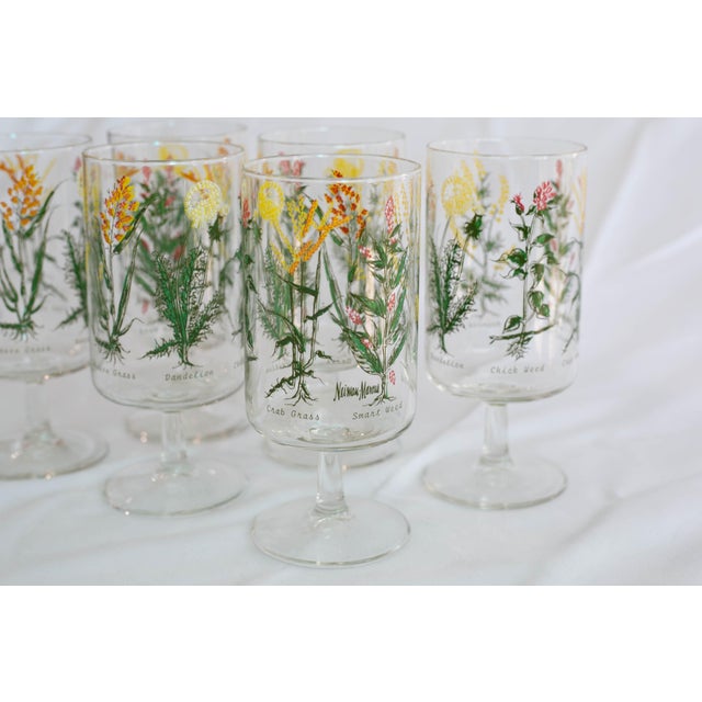 Mid-Century Modern Vintage Neiman Marcus “Weed & Wildflower” Botanical Stem Glasses - Set of 6 For Sale - Image 3 of 13