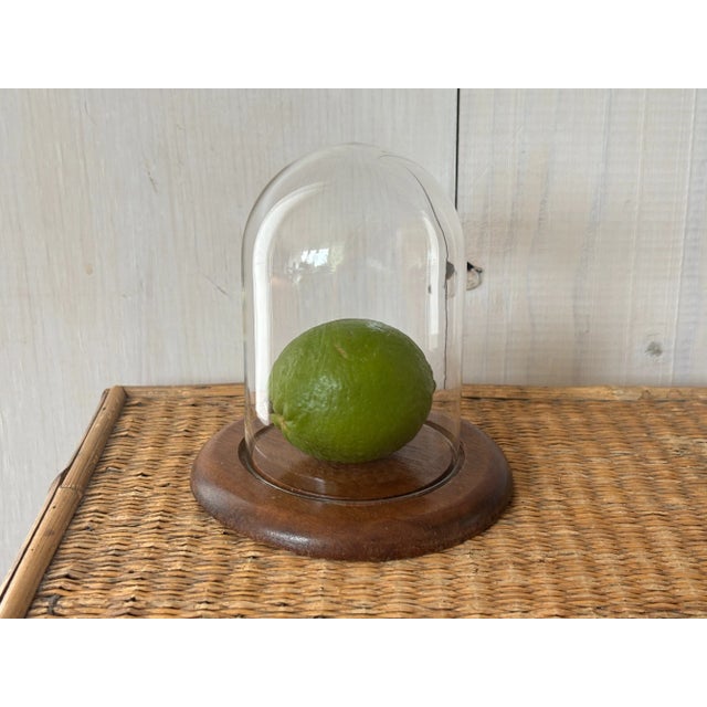 Vintage glass cloche with wood base! This sleek and simple piece would be perfect for displaying a treasured object, from...
