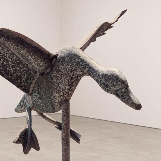 Antique Three-Dimensional Copper Weathervane with Open-Winged Duck, 1900s For Sale - Image 6 of 8