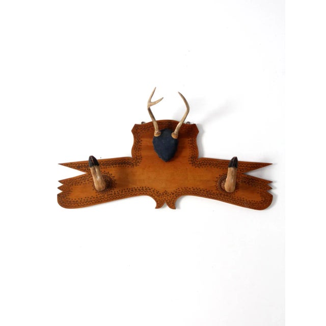 1950s Deer Antler and Hoof Mount For Sale - Image 11 of 11