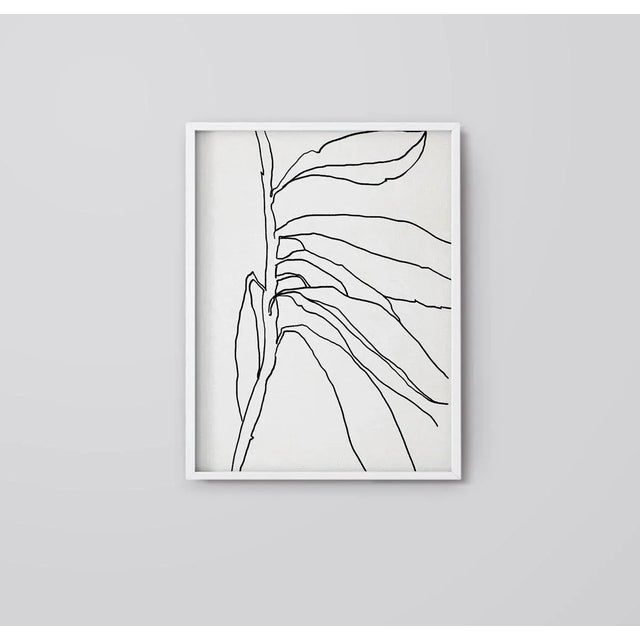 Contemporary Botanical Giclee Prints - Set of 3 For Sale - Image 4 of 7
