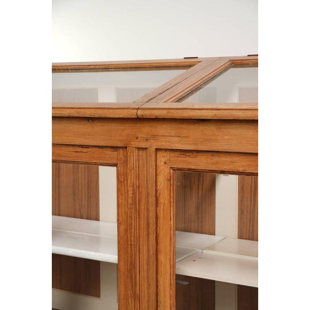 Vintage Museum Cabinet with Doors and Removable Shelves For Sale - Image 10 of 16