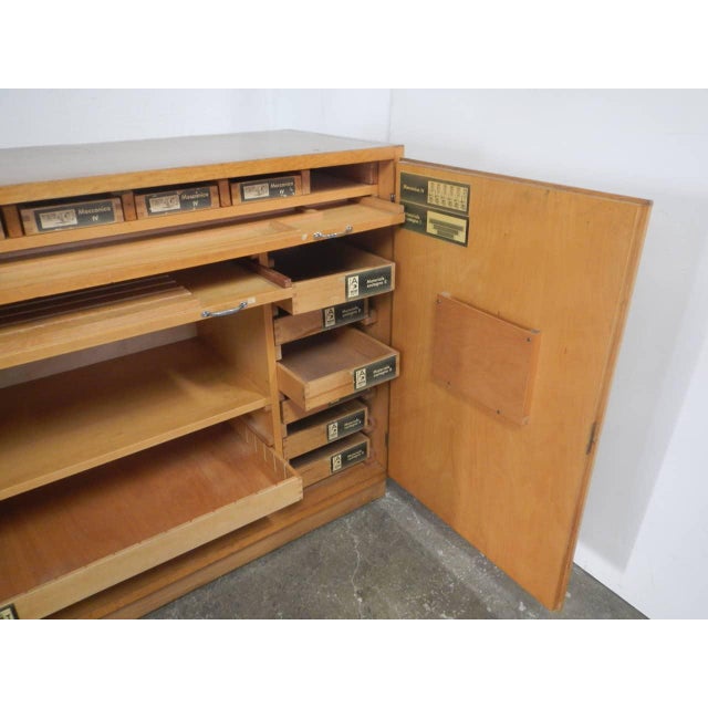 Chemistry Lab Filing Cabinet, 1960s For Sale - Image 6 of 13