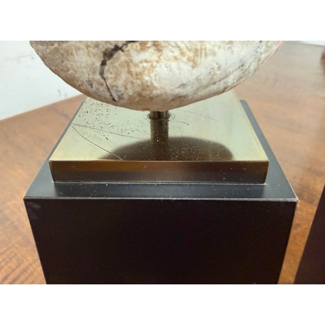 Vintage Asian Heads + Bases, Set of Three For Sale - Image 12 of 12