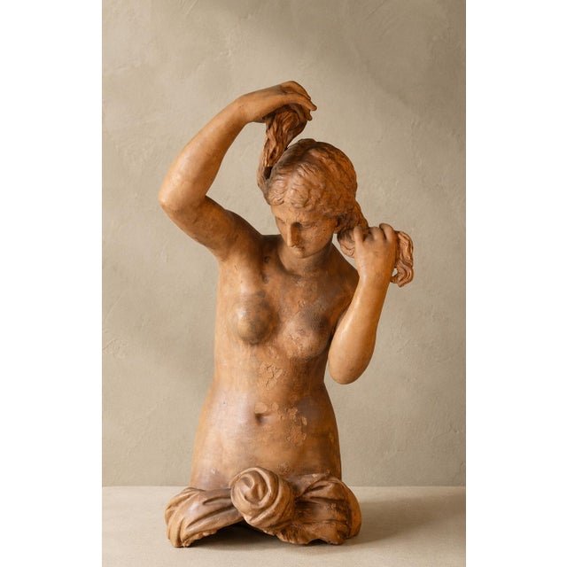 Italian Artist, Large Female Sculpture of Venus Anadyomene, 20th Century, Patinated Terracotta For Sale - Image 11 of 11