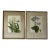 Floral Prints in Light Wood Frame a Pair For Sale