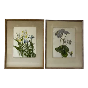 Floral Prints in Light Wood Frame a Pair