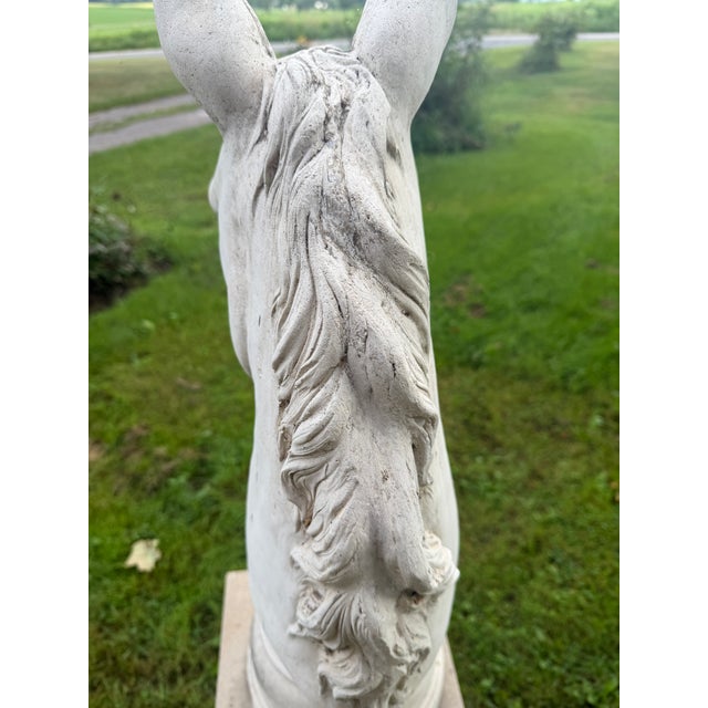 Vintage Hollywood Regency Concrete Horse Head Bust Sculpture Monumental Pedestal For Sale - Image 11 of 14