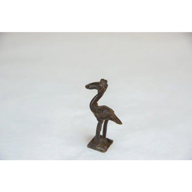 Vintage African Curious Crowned Bird With Nut For Sale - Image 4 of 5