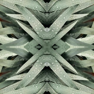 "No. 113" Contemporary Original Op Art Botanical Limited Edition Print by Erin Derby For Sale