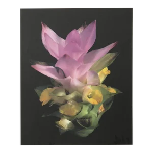 Purple Ginger II, Jonathan Singer, Photography