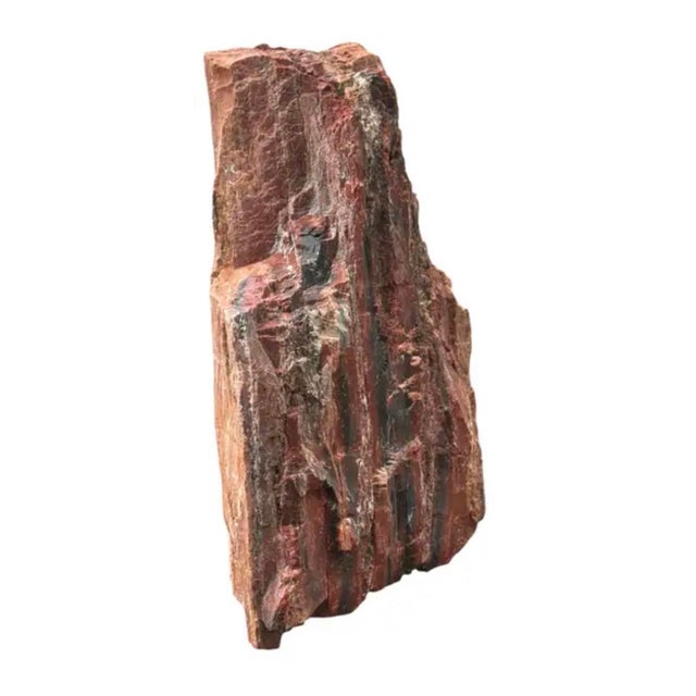 Wood Petrified Wood Sculpture, Organic Modern Design, #2 For Sale - Image 7 of 13