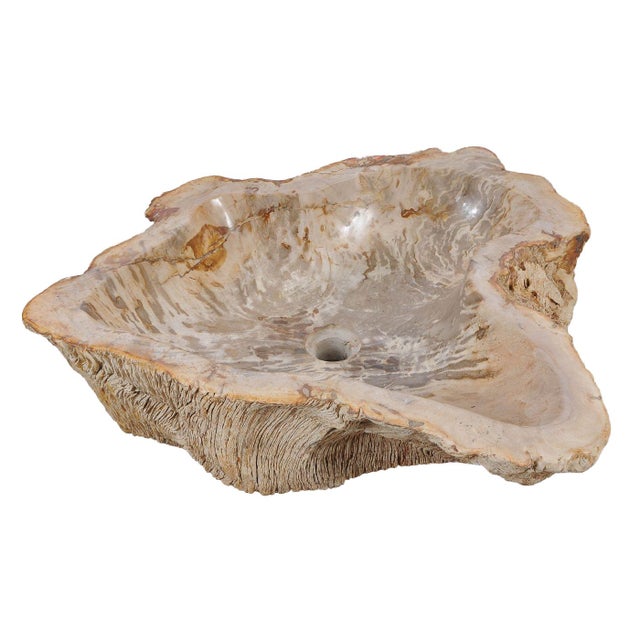 Petrified Wood Wash Hand Basin by Xyleia Petrified Wood For Sale - Image 4 of 6