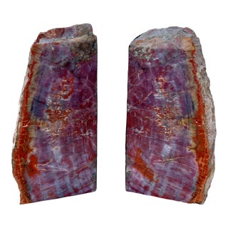 Vintage Petrified Wood Bookends- a Pair For Sale