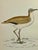 Illustration Antique Hand Tinted Bird Print From England Featuring a Tan & White Courser - Circa 1888 For Sale - Image 3 of 10