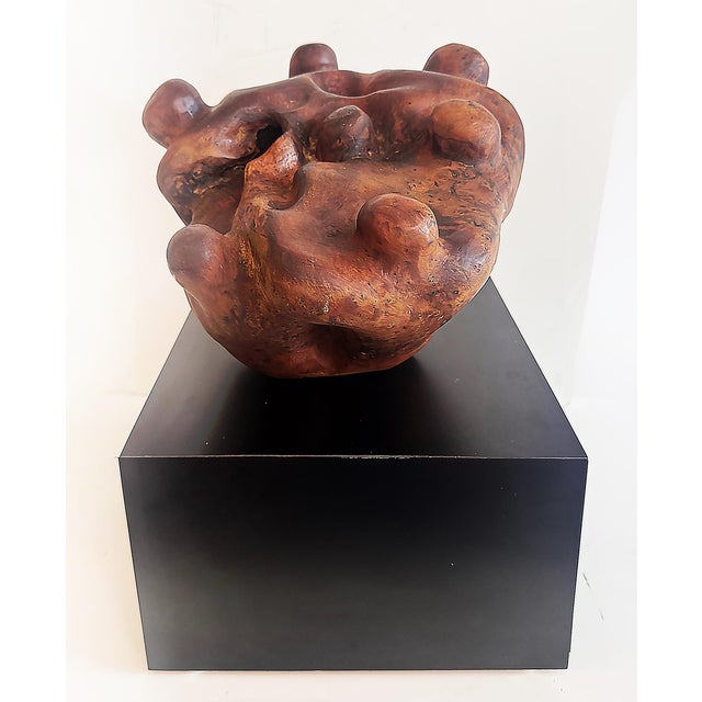 Abstract Biomorphic Mid-Century Abstract Burlwood Sculpture on a Base For Sale - Image 3 of 10
